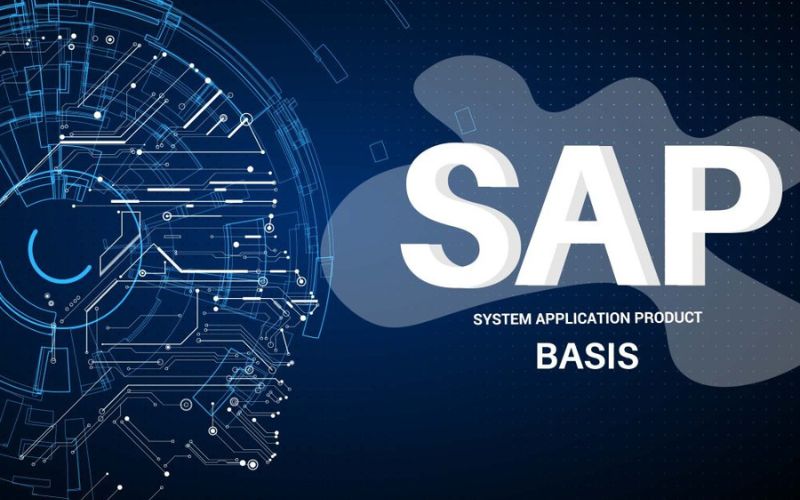 SAP BASIS Course